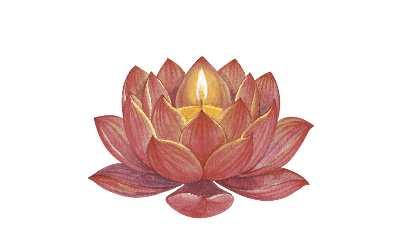 Kerze die in Lotusblüte brennt, Pusteblume deren Samen wegfliegt, Reiki, Niedernberg bei Aschaffenburg, Elke Maria Becker