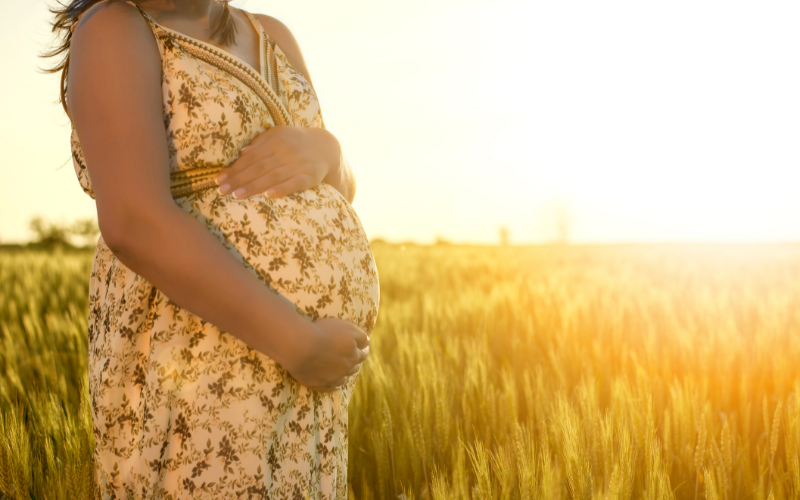 Frau steht im Kornfeld und hält mit der rechten Hand den unteren Babybauch im Sonnenuntergang, Reiki, Niedernberg bei Aschaffenburg, Elke Maria Becker, Reiki Meisterin und Lehrerin
