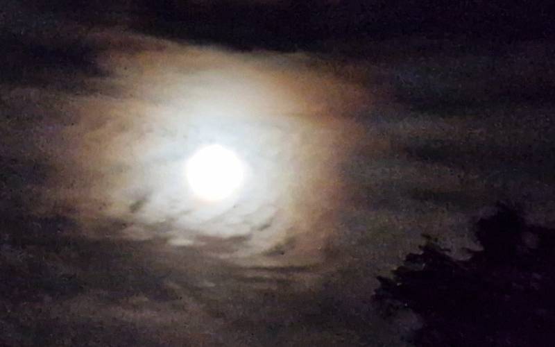 reiki trauerbegleitung